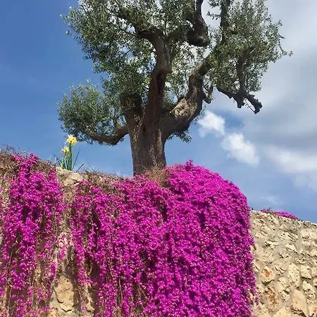 Sea La Vie